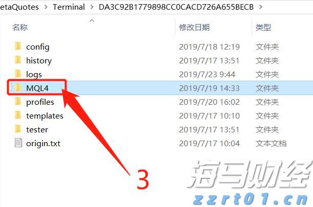 岭师健儿闪耀省大运会赛场