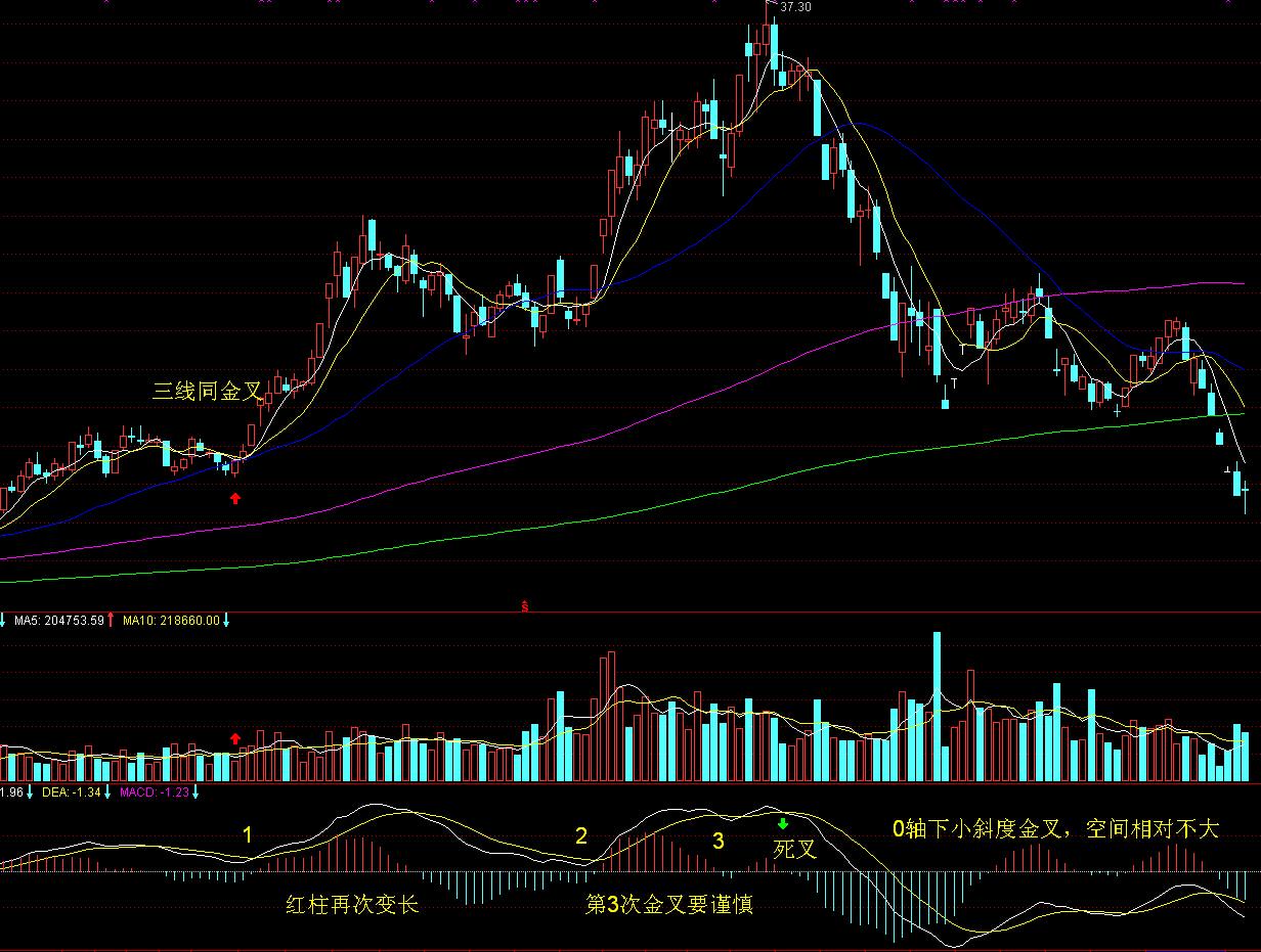 特朗普称赞“悉尼妹”广告 美鹰服饰(AEO.US)股价飙升创25年新高