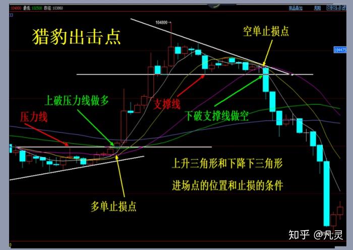 平南县放生23尾国家二级保护动物斑鳠